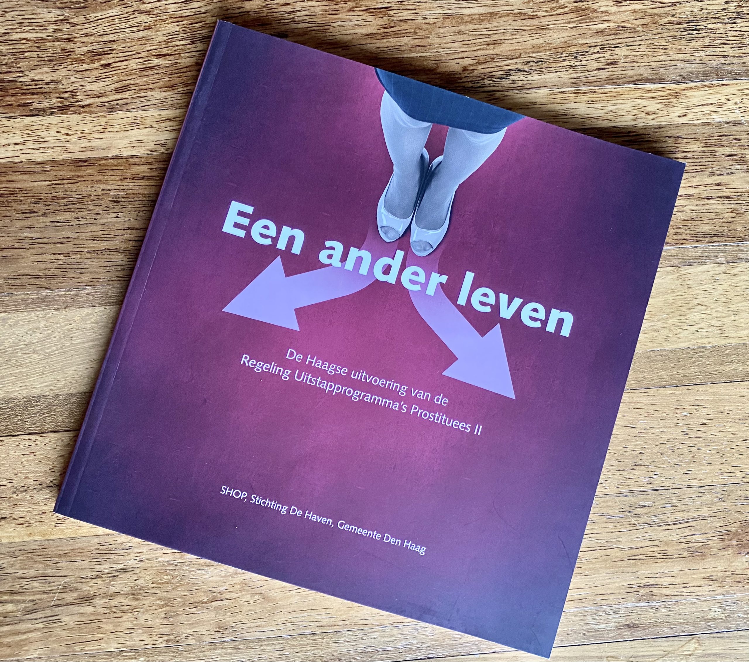 den haag prostituees